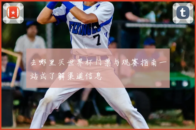 去哪里买世界杯门票与观赛指南一站式了解渠道信息