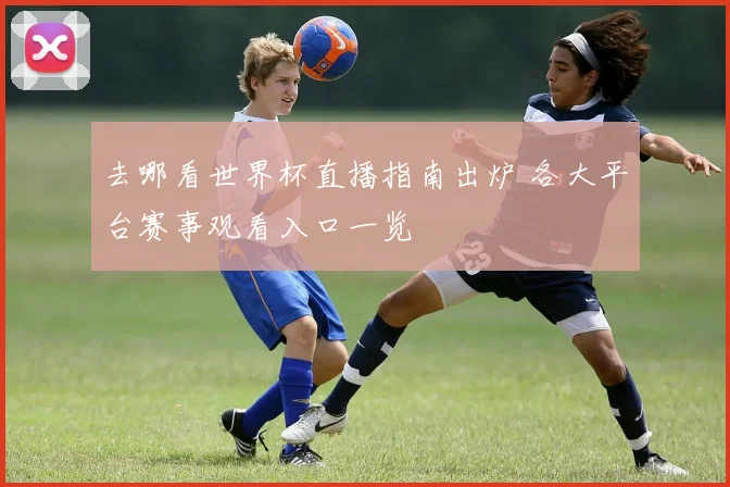 去哪看世界杯直播指南出炉 各大平台赛事观看入口一览