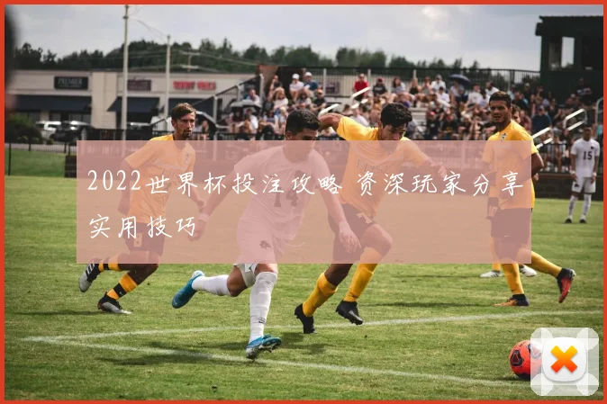 2022世界杯投注攻略 资深玩家分享实用技巧