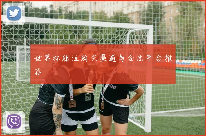 世界杯赌注购买渠道与合法平台推荐
