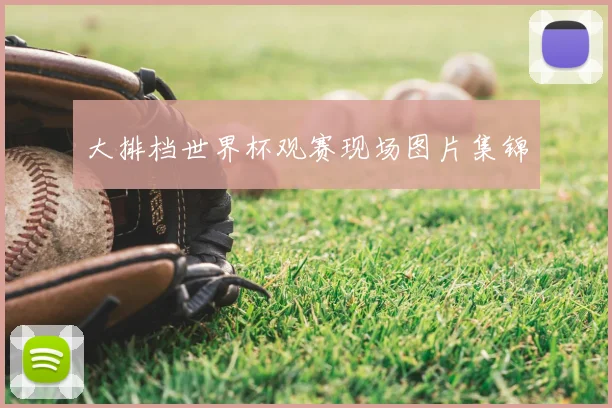 大排档世界杯观赛现场图片集锦
