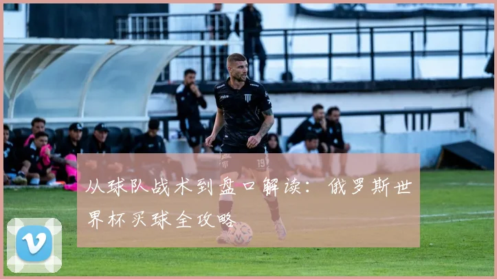 从球队战术到盘口解读：俄罗斯世界杯买球全攻略