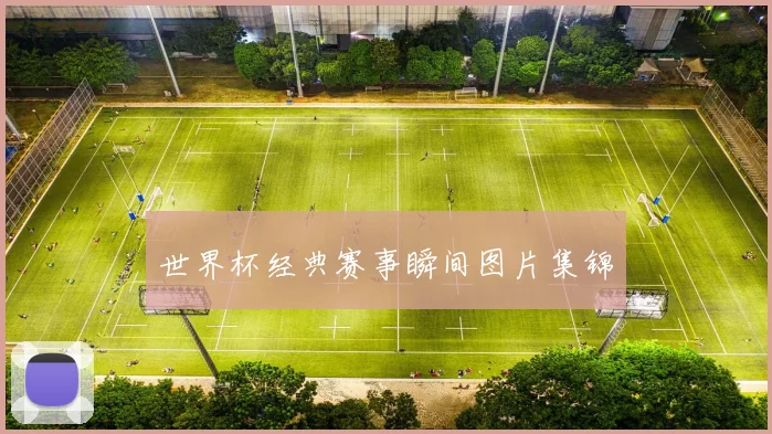 世界杯经典赛事瞬间图片集锦