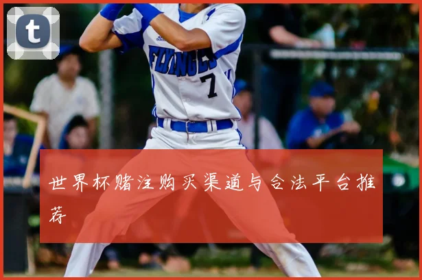 世界杯赌注购买渠道与合法平台推荐