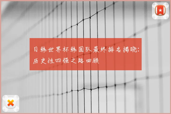 日韩世界杯韩国队最终排名揭晓：历史性四强之路回顾