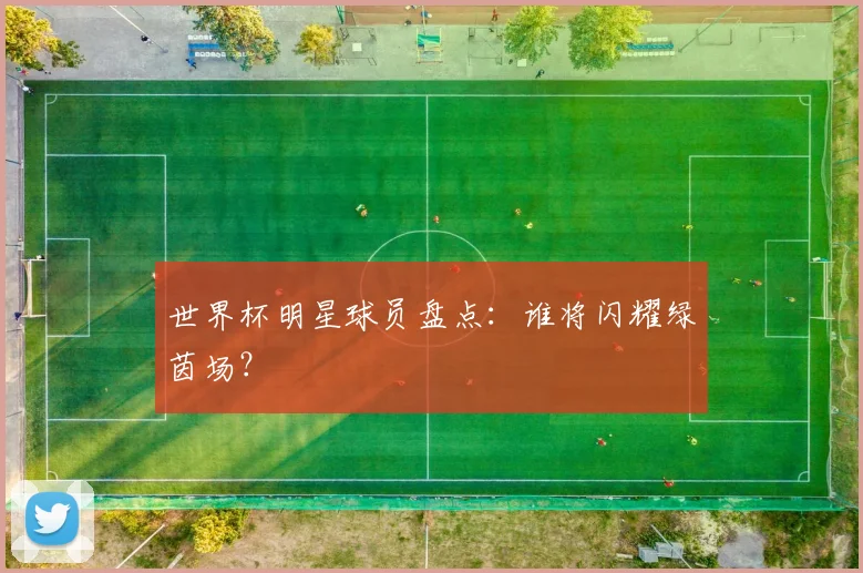 世界杯明星球员盘点：谁将闪耀绿茵场？