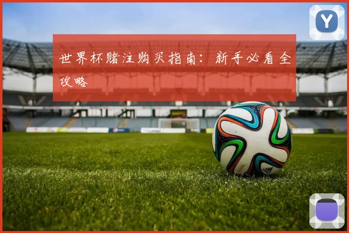 世界杯赌注购买指南：新手必看全攻略