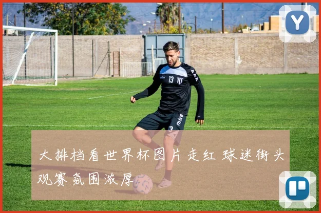 大排档看世界杯图片走红 球迷街头观赛氛围浓厚