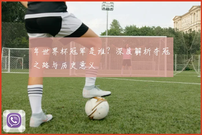 年世界杯冠军是谁？深度解析夺冠之路与历史意义