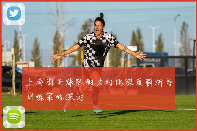 上海羽毛球队耐力对比深度解析与训练策略探讨