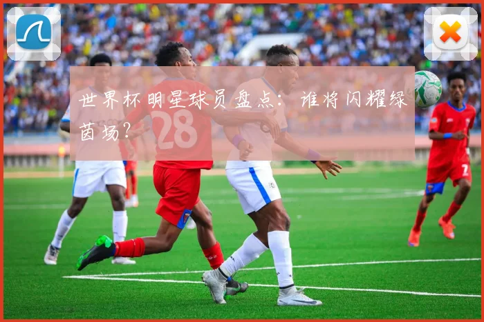 世界杯明星球员盘点:谁将闪耀绿茵场?